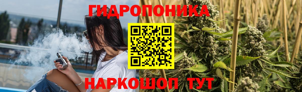 Шишки марихуана OG Kush Канск